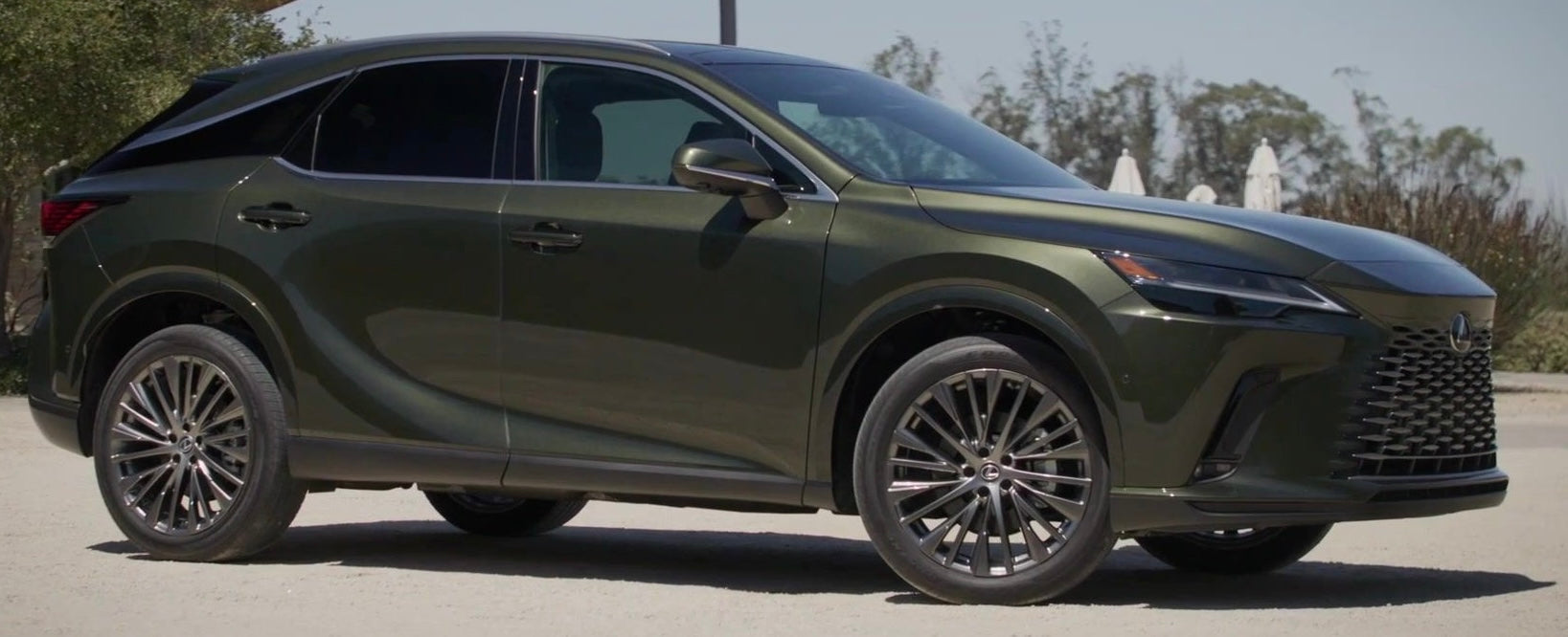 ベイ　ヨーヨーリクリエーション　ダークグリーン ヨーヨーリクリエーション ベイ ダークグリーン ベイ ヨーヨーリ