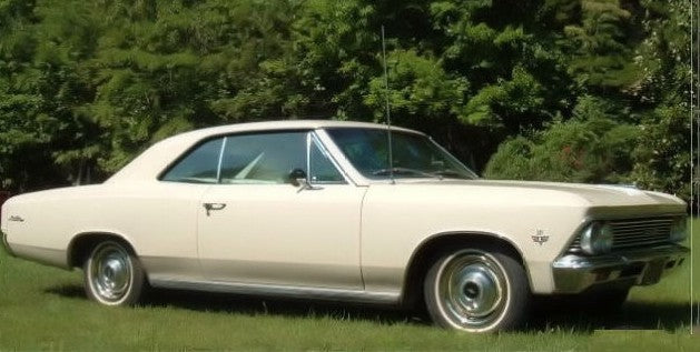 GM WA3136 Cameo Beige Basecoat With Reducer Gallon (Basecoat Only)