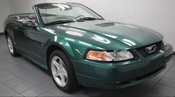Ford SU Amazon Green Basecoat With Reducer Gallon (Basecoat Only