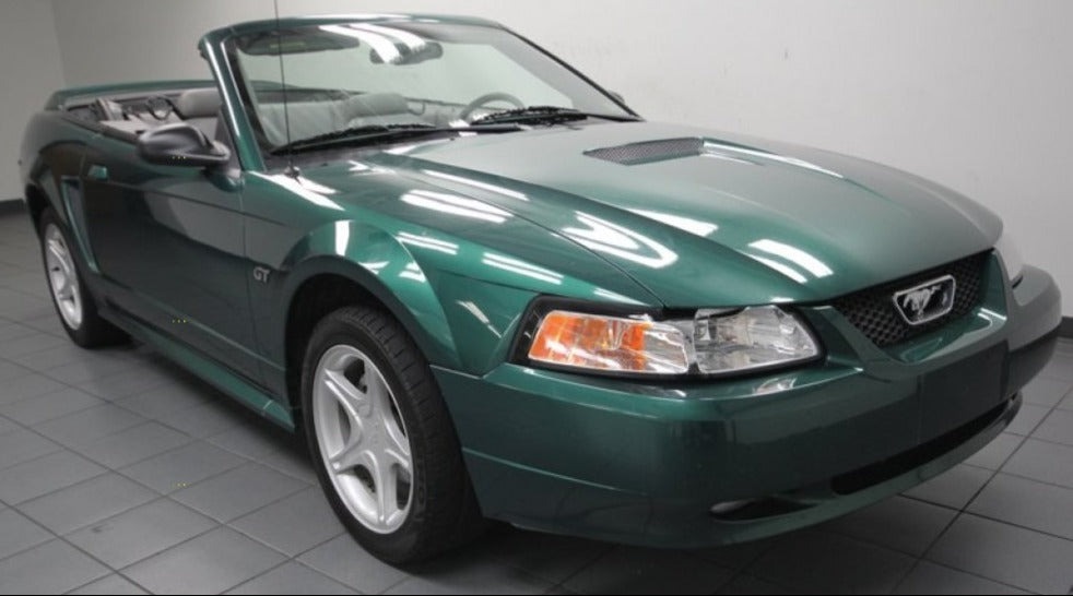 Ford SU Amazon Green Basecoat With Reducer Quart (Basecoat Only