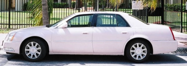 GM WA9601 Mary Kay Pink Basecoat Clearcoat Quart Complete