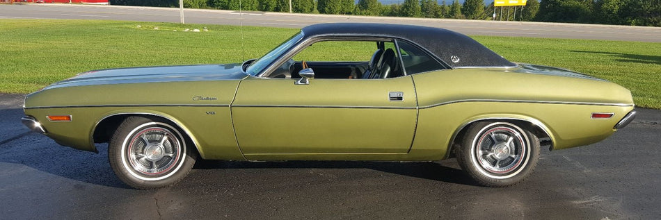 Dodge F4 Light Green Metallic Basecoat With Reducer Gallon (Basecoat Only)