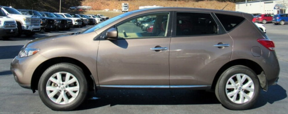Nissan CAB Tinted Bronze Basecoat With Reducer Quart (Basecoat Only)