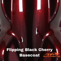 Spectra Black Pearl Base Coat Clear Coat Car Paint and Kit Options